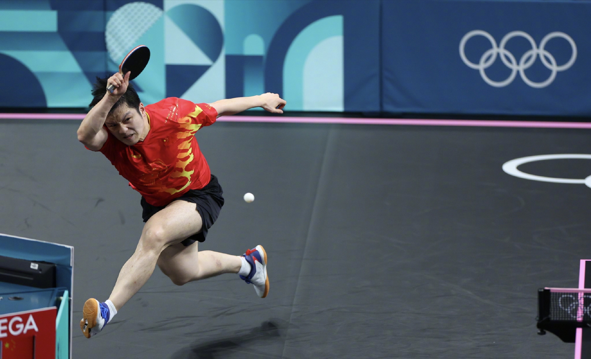 德国乒乓球队轻取比利时乒乓球队，樊振东高光表现的简单介绍