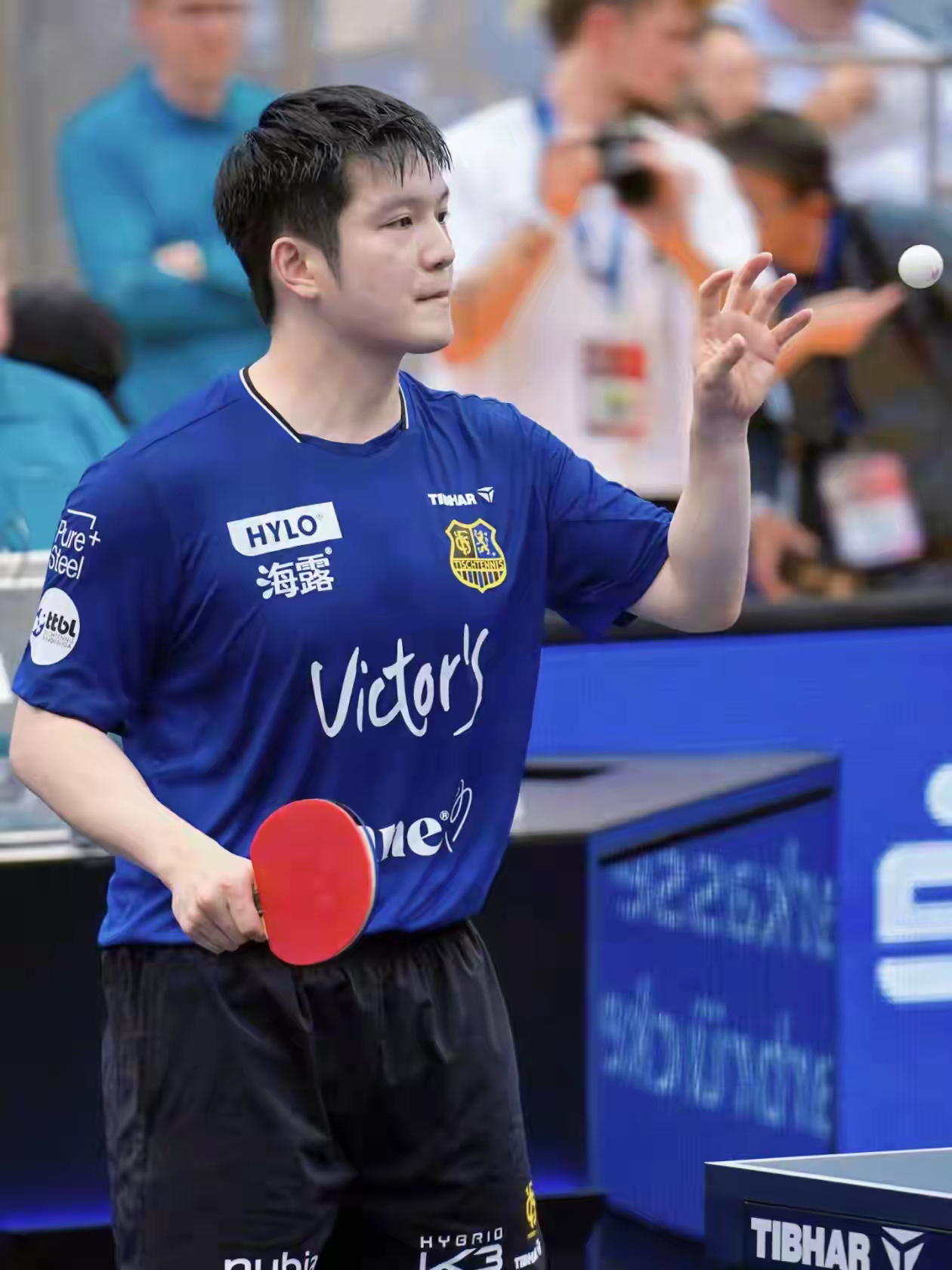 奥地利队险胜波兰队，樊振东状态火热的简单介绍