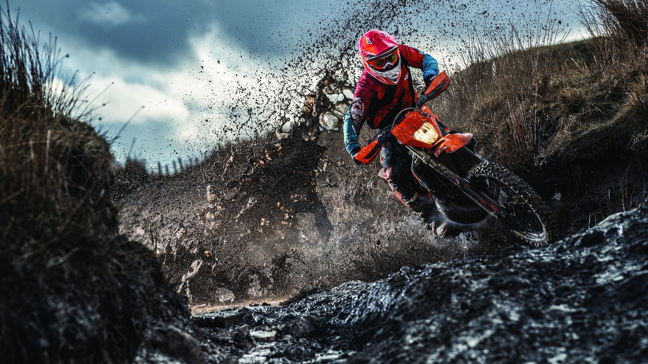 年度焦点之战，爵士强势晋级，骑士王朝梦碎